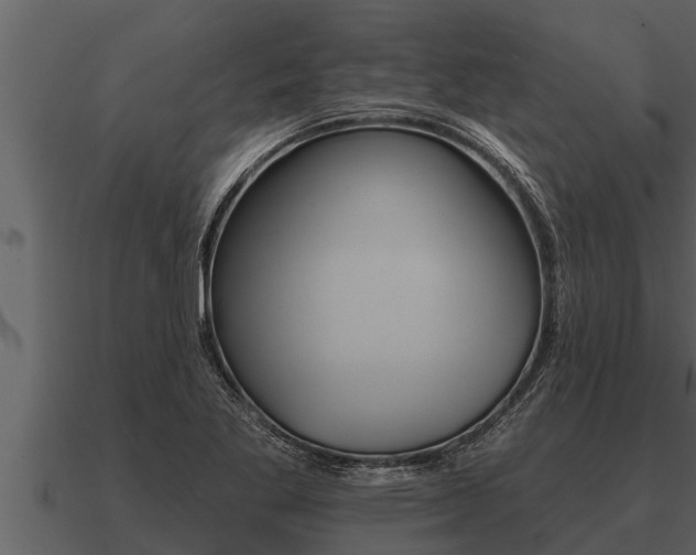 X0000091091269200708060951
