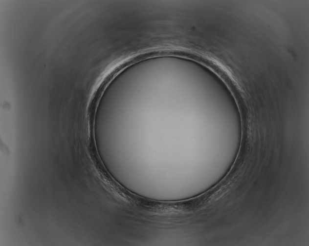 X0000091091270200708060951
