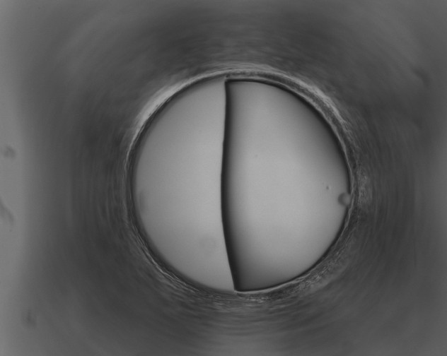 X0000091091271200708060951