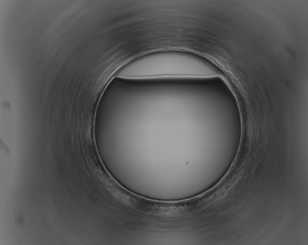 X0000091091273200708060951
