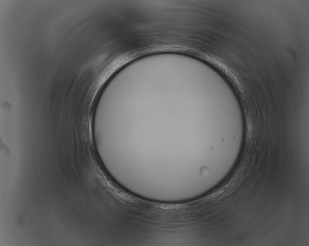 X0000091091274200708060951