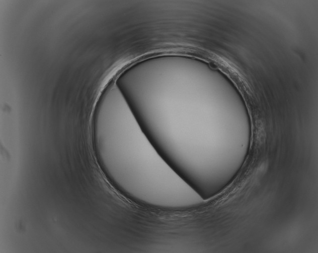 X0000091091275200708060951