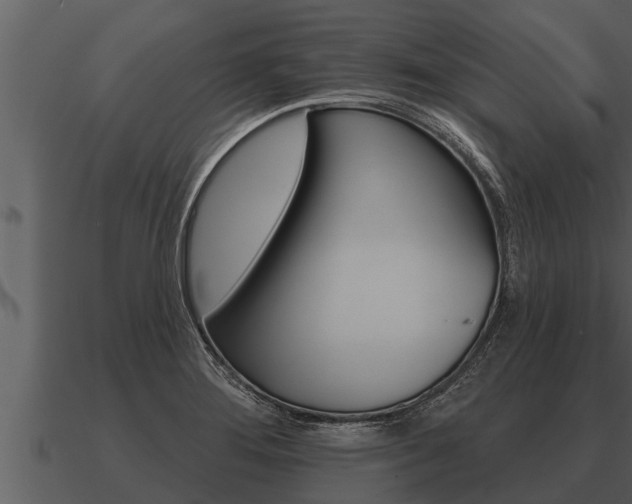 X0000091091276200708060951