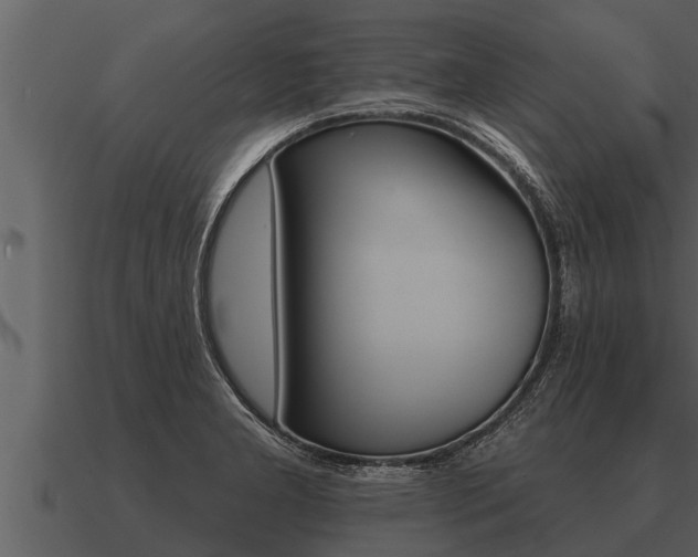 X0000091091277200708060951