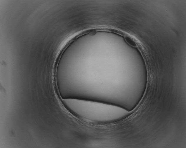 X0000091091279200708060951