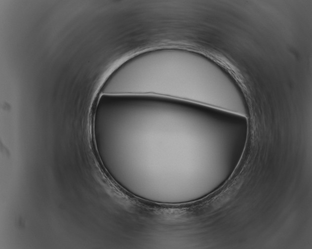 X0000091091280200708060951