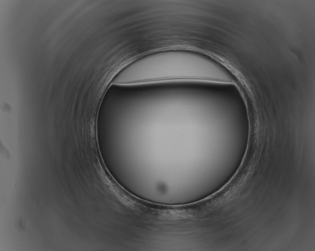 X0000091091281200708060951