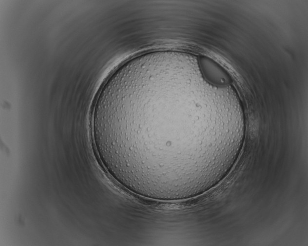 X0000091091283200708060951