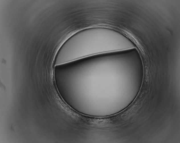 X0000091091284200708060951
