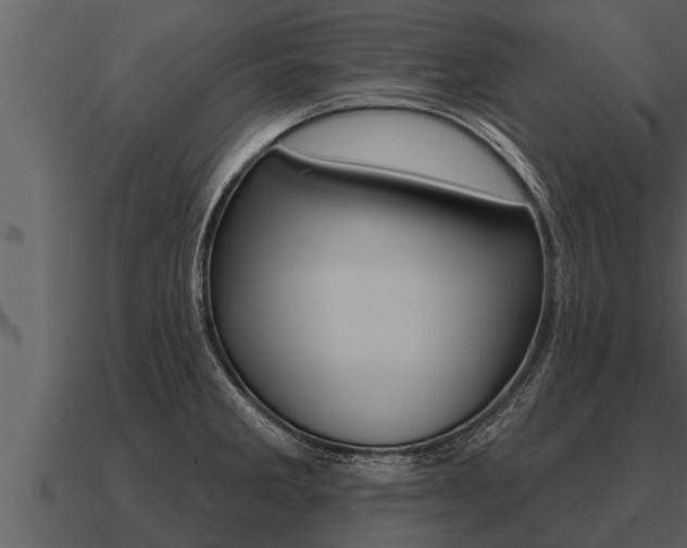 X0000091091285200708060951