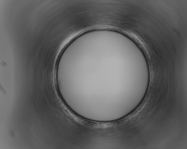 X0000091091286200708060951