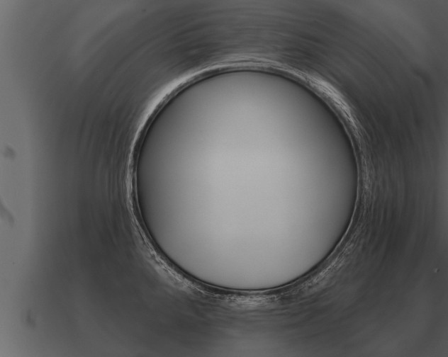 X0000091091288200708060951