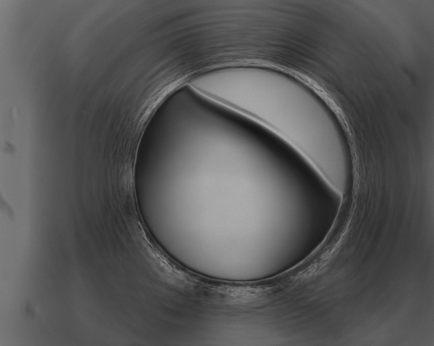 X0000091091289200708060951