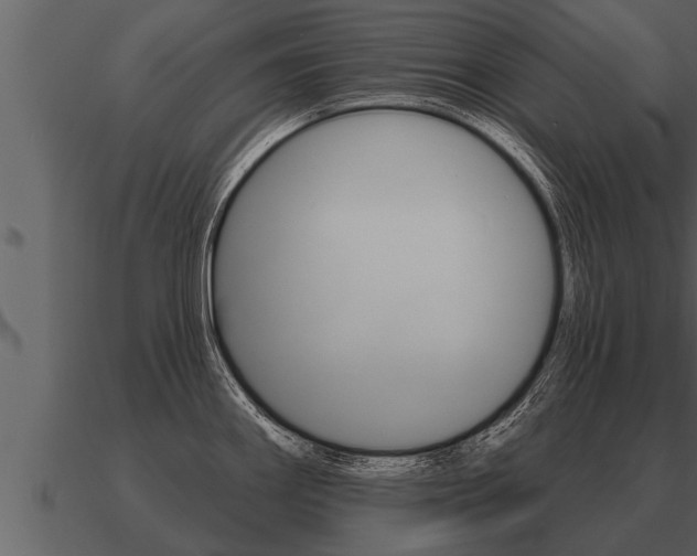 X0000091091290200708060951
