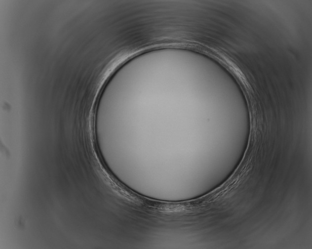 X0000091091291200708060951
