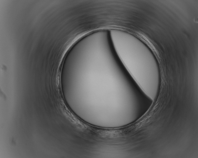 X0000091091292200708060951