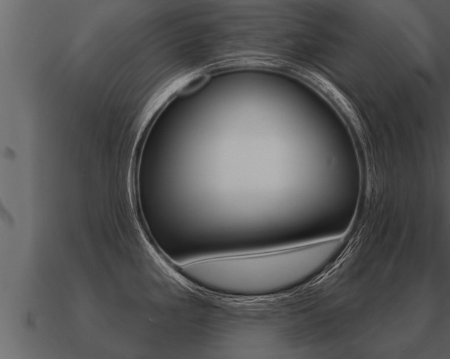X0000091091293200708060951