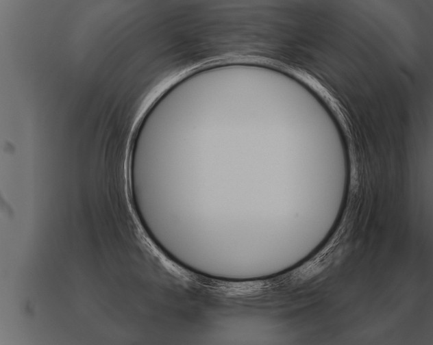 X0000091091294200708060951