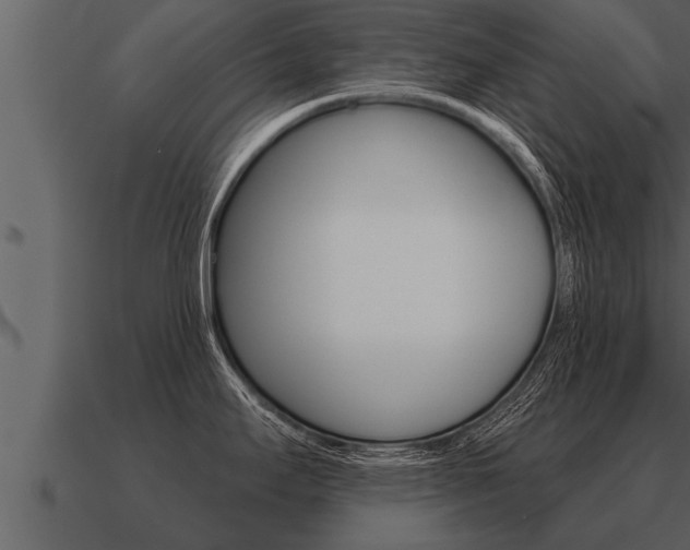 X0000091091295200708060951