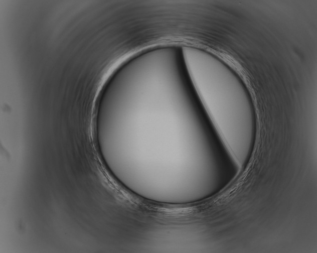 X0000091091296200708060951