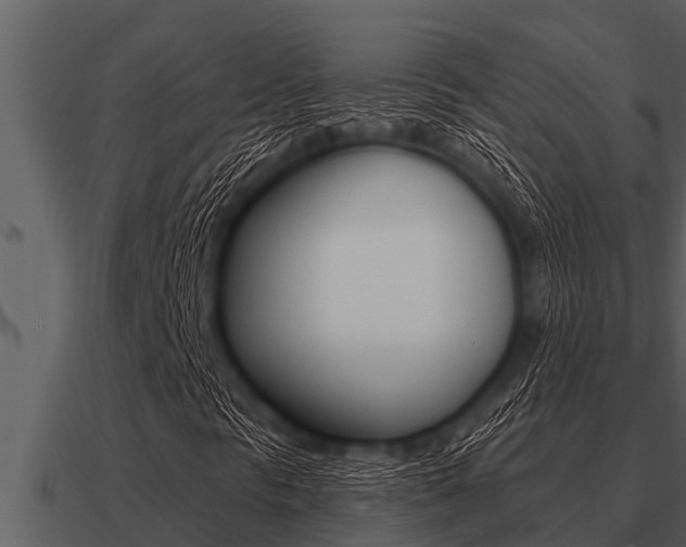 X0000091091297200708060950