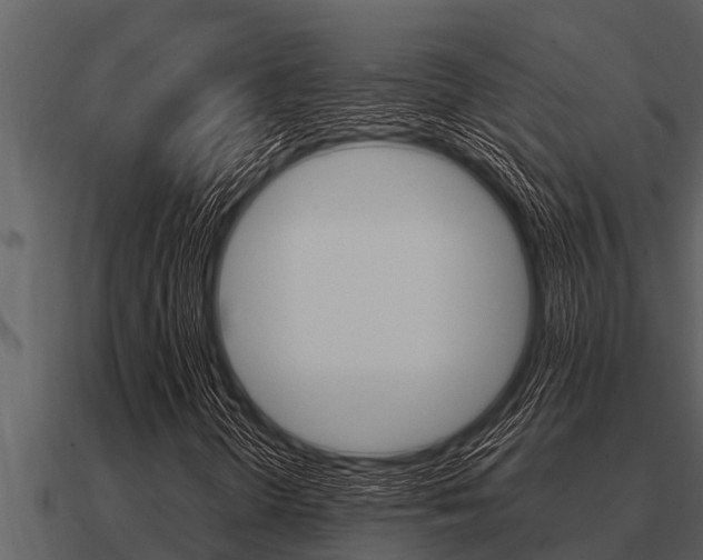 X0000091091298200708060950