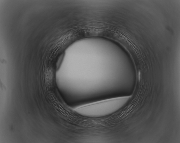 X0000091091299200708060950