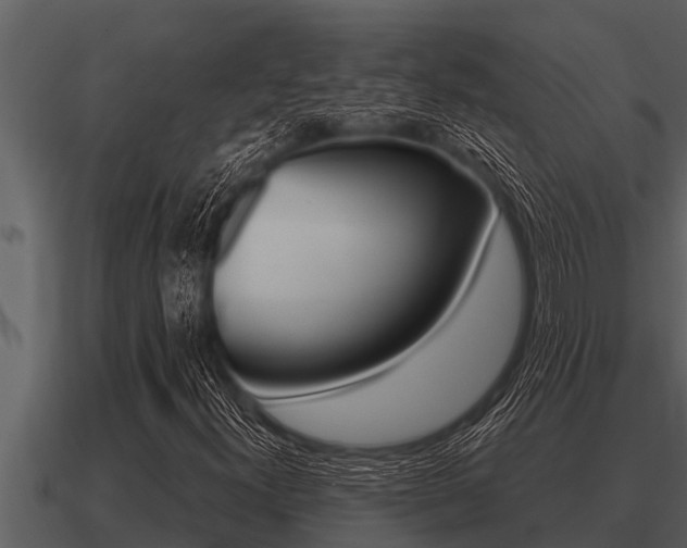 X0000091091300200708060950