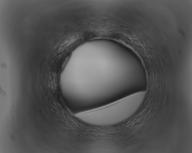 X0000091091301200708060950