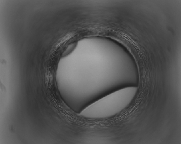 X0000091091302200708060950