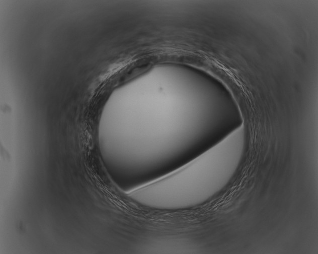 X0000091091303200708060950