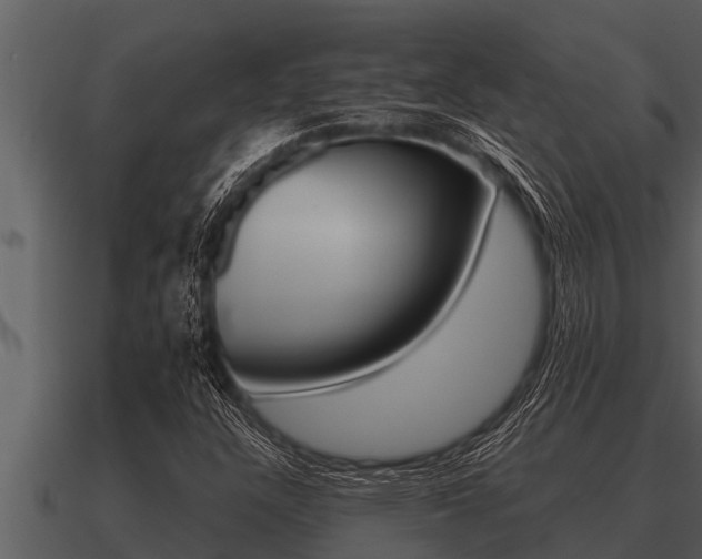 X0000091091304200708060950