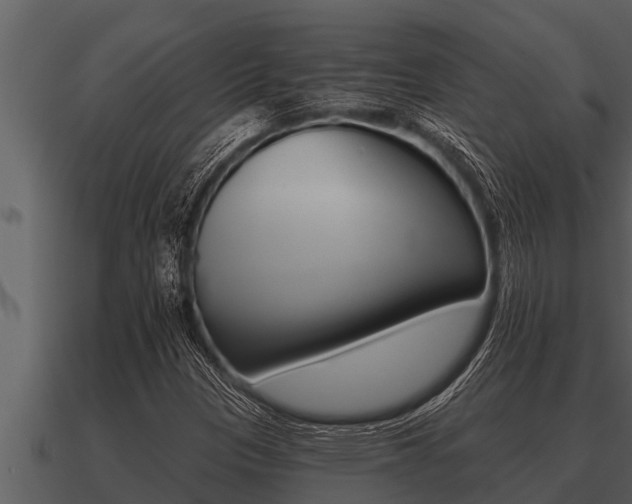 X0000091091305200708060950