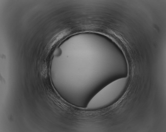 X0000091091306200708060950