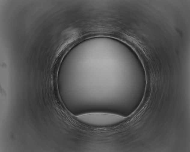 X0000091091307200708060950