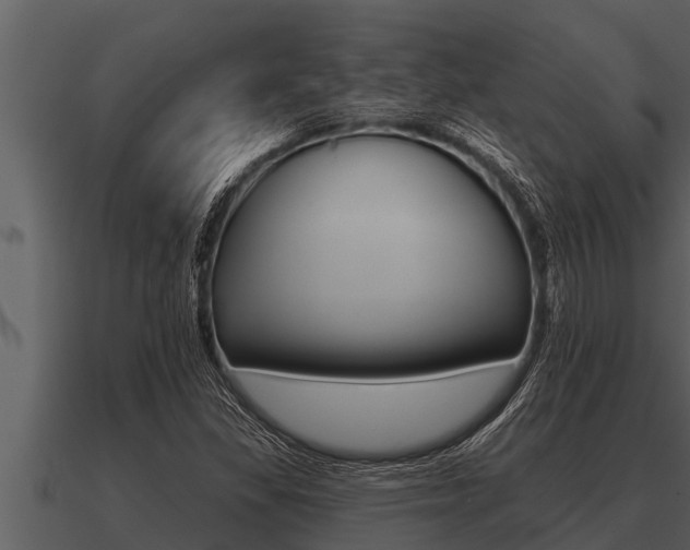X0000091091309200708060950