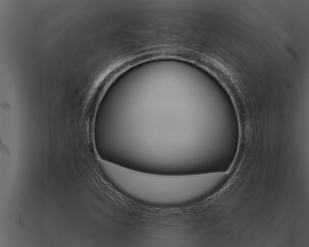 X0000091091310200708060950