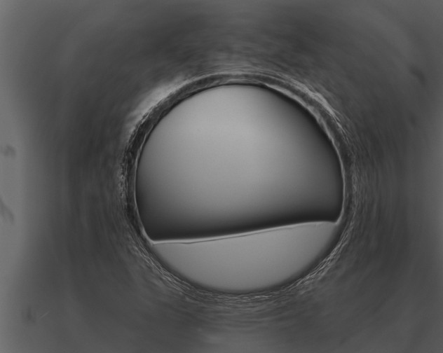 X0000091091311200708060950
