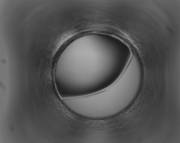 X0000091091312200708060950