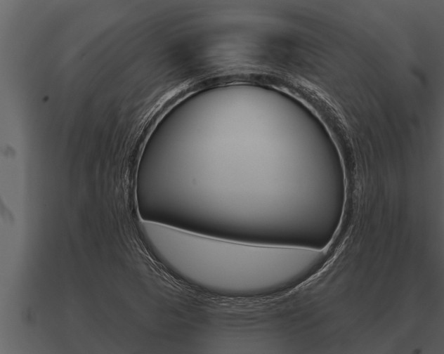 X0000091091313200708060950