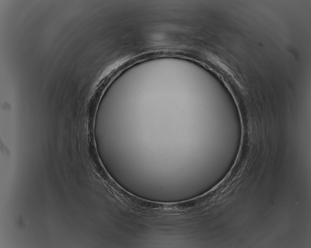 X0000091091315200708060950
