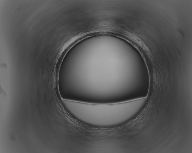 X0000091091316200708060950