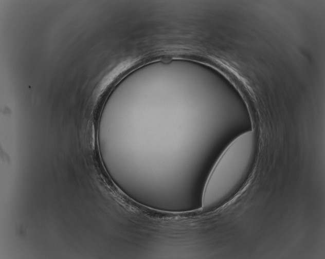 X0000091091317200708060950