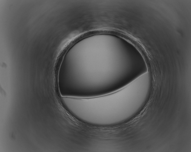 X0000091091319200708060950