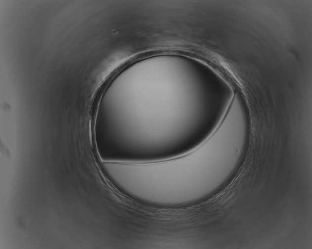 X0000091091320200708060950