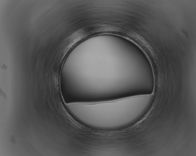 X0000091091321200708060950