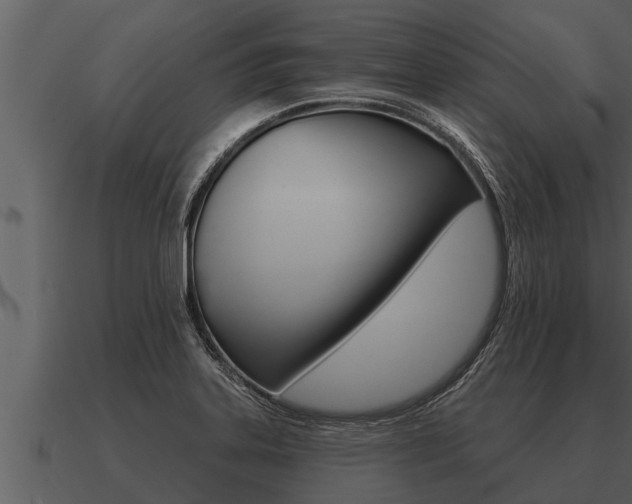 X0000091091323200708060950
