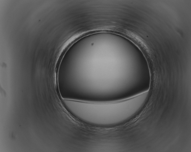 X0000091091324200708060950