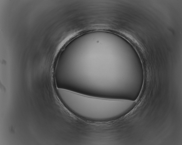 X0000091091325200708060950