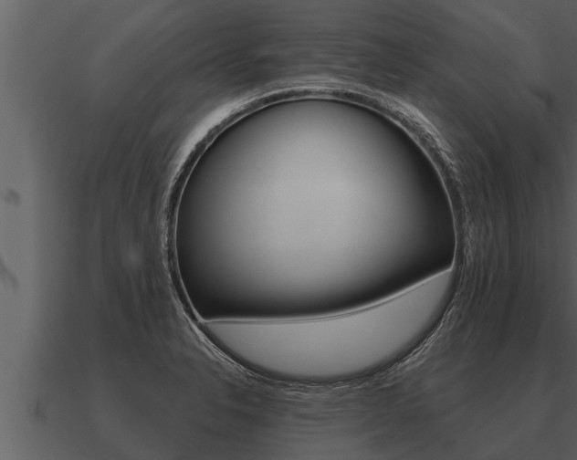 X0000091091326200708060950
